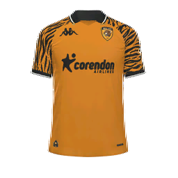 Hull City Home Kit kit