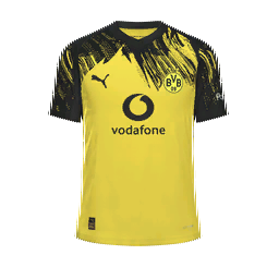 Borussia Dortmund Home Kit kit