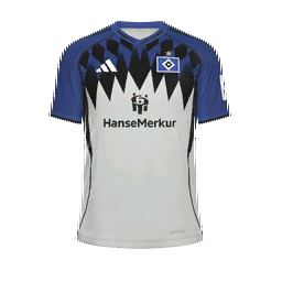 Hamburger SV Home Kit kit