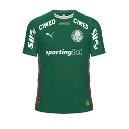 Palmeiras Home Kit kit