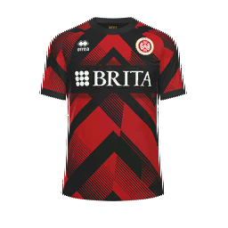 SV Wehen Wiesbaden Home Kit kit