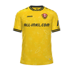Dynamo Dresden Home Kit kit