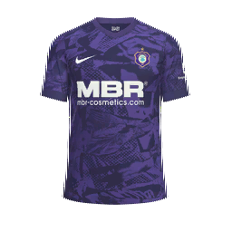 Erzgebirge Aue Home Kit kit