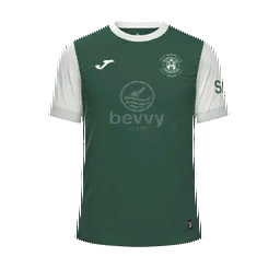 Hibernian Home Kit kit