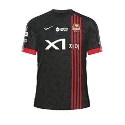 FC Seoul Home Kit kit