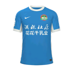 Henan FC Away Kit kit
