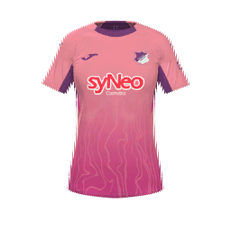 TSG 1899 Hoffenheim Away Kit kit