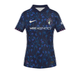 North Carolina Courage Away Kit kit