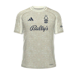 Nottingham Forest Away Kit kit