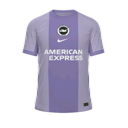 Brighton & Hove Albion Away Kit kit