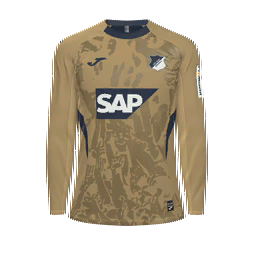 TSG 1899 Hoffenheim Goalkeeper Kit kit