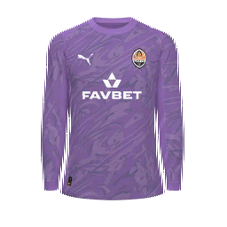 Shakhtar Donetsk Goalkeeper Kit kit