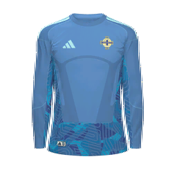 Northern Ireland Goalkeeper Kit kit