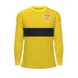 VfB Stuttgart II Goalkeeper Kit kit