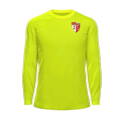FC Sion Goalkeeper Kit kit