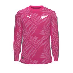 New Zealand Goalkeeper Kit kit