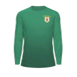 Shandong Taishan Goalkeeper Kit kit