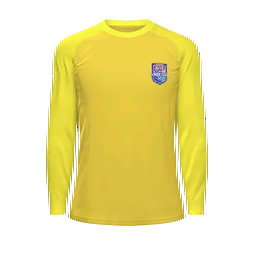 Tianjin Jinmen Tiger Goalkeeper Kit kit