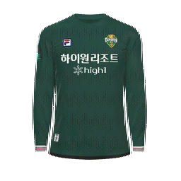 Gangwon FC Goalkeeper Kit kit