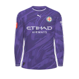 Melbourne City Goalkeeper Kit kit