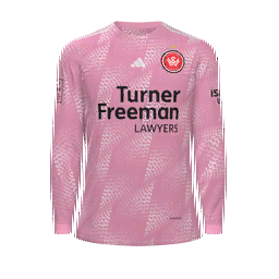 Western Sydney Wanderers Goalkeeper Kit kit