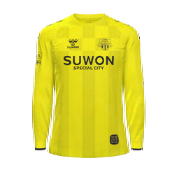 Suwon FC Goalkeeper Kit kit