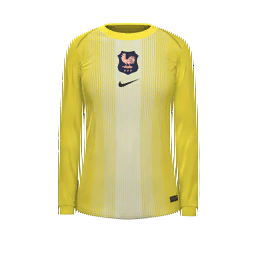 France Women Goalkeeper Kit kit