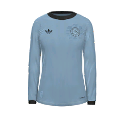 Germany Women Goalkeeper Kit kit