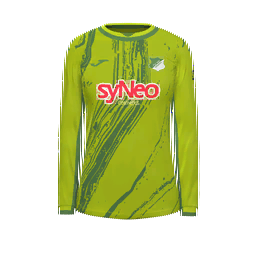 TSG 1899 Hoffenheim Goalkeeper Kit kit