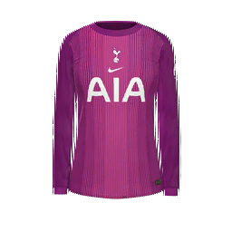 Tottenham Hotspur Goalkeeper Kit kit