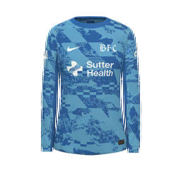 Bay FC Goalkeeper Kit kit