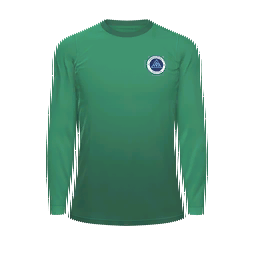 Shenzhen Peng City Goalkeeper Kit kit