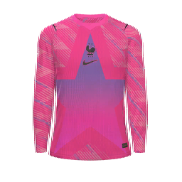 France Goalkeeper Kit kit