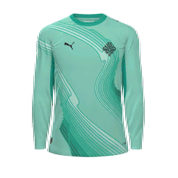 Iceland Goalkeeper Kit kit