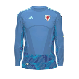 Wales Goalkeeper Kit kit