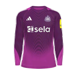 Newcastle United Goalkeeper Kit kit