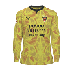 Pohang Steelers Goalkeeper Kit kit