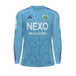 Jeonbuk Hyundai Motors Goalkeeper Kit kit