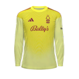 Nottingham Forest Goalkeeper Kit kit
