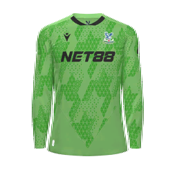 Crystal Palace Goalkeeper Kit kit