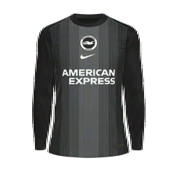 Brighton & Hove Albion Goalkeeper Kit kit