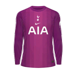 Tottenham Hotspur Goalkeeper Kit kit