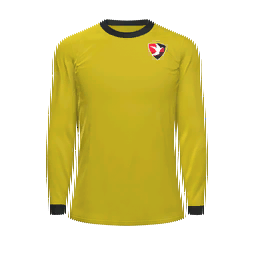 Cheltenham Town Goalkeeper Kit kit
