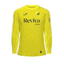 Swansea City Goalkeeper Kit kit