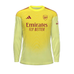 Arsenal Goalkeeper Kit kit