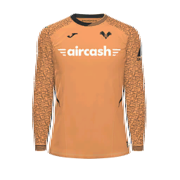 Hellas Verona Goalkeeper Kit kit