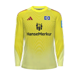 Hamburger SV Goalkeeper Kit kit