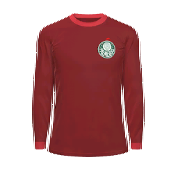 Palmeiras Goalkeeper Kit kit