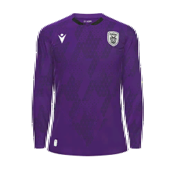 PAOK Goalkeeper Kit kit