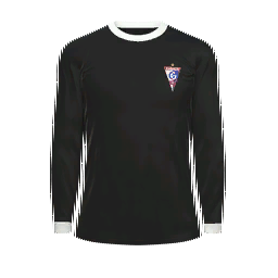 Górnik Zabrze Goalkeeper Kit kit
